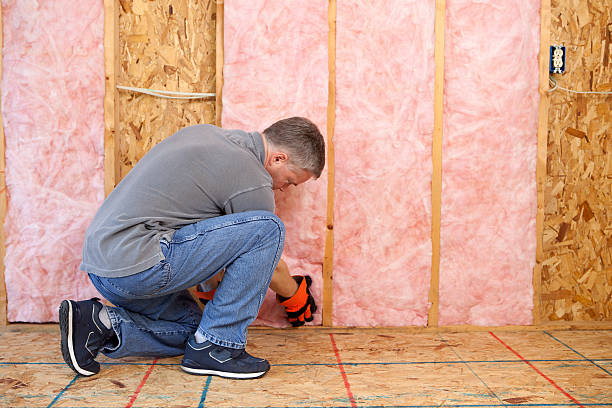 Best Insulation Repair Services  in North Charleroi, PA