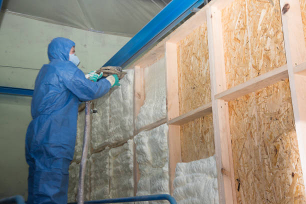 Best Insulation Replacement Services  in North Charleroi, PA